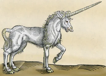Jednorožec, ilustrace z Historiae Animalium od Conrada Gesnera, 1551