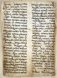 Přidat. 14425, f.31, Textová stránka z Pentateuchu. (Genesis, Exodus, Numbers, Deuteronomium), 464 (vellum)
