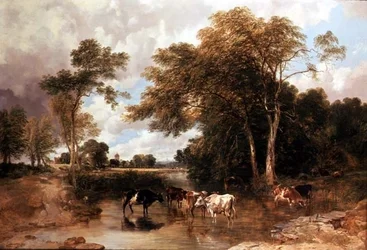 Zalesněná říční krajina