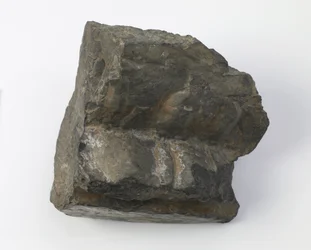 Fragment lotosového podstavce