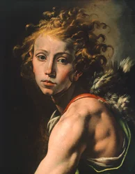 Postava Davida, detail od Davida s hlavou Goliáše, od Tanzia da Varallo (1575-1635)