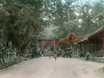 Vchod do svatyně luceren v parku Kasauga Taisha, Nara, asi 1900-1915 (fotografie)