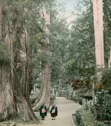 Hřbitov Okuno-In na hoře Koya v Jamamotu, asi 1900-1915 (fotografie)