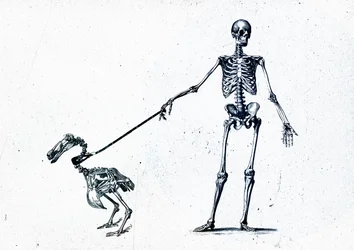 Walking my dodo, 2015 (kombinovaná média na plátně)
