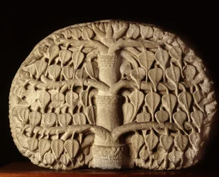 Strom Bodhi