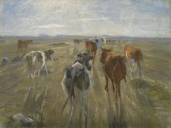 Dlouhé stíny. Krávy na ostrově Saltholm. Kolem roku 1890