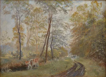 Řeka Sorteaa poblíž Mejlgaard Manor, Jutsko