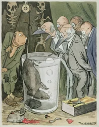 Lékařský vědecký experiment