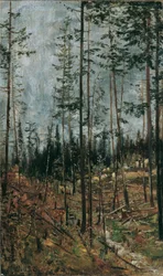 Waldschlag bei Gödöllö