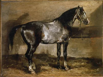 Grey Horse at the Ratelier - olej na plátně