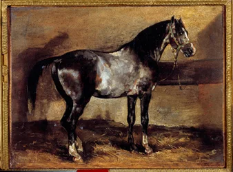 Grey Horse at the Ratelier Painting by Theodore Gericault (1791-1824) Sun 19. století. 0,26x0,34 m