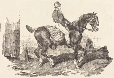 Stájník sedící na kočárovém koni (Cheval de carrosse monte par un palfrenier)