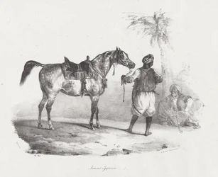Egyptská klisna (An Egyptian Mare)