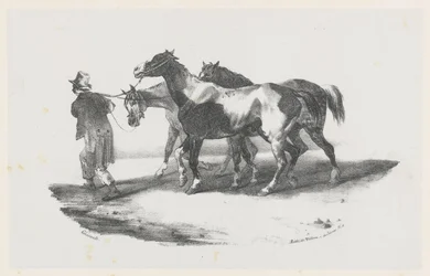 Tři koně vedeni na jatka (Three Horses Being Led to the Slaughterhouse)
