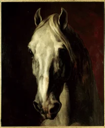 Hlava bílého koně. Obraz Théodora Géricaulta (1791-1824)