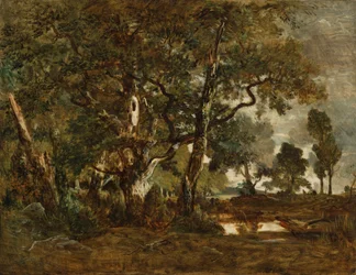 Les Fontainebleau, shluk vysokých stromů s výhledem na planinu Clair-Bois na okraji Bas-Bréau