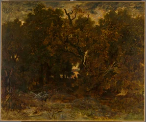 Odchod z lesa, Fontainebleau: Zapadající slunce