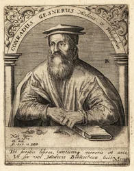 Conrad Gessner, švýcarský lékař