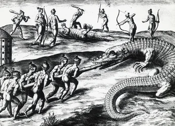 Lov krokodýla na Floridě, z malby Jacques le Moyne de Morgues (asi 1533-před 1588), Theodor de Bry (1528-1598). rytina