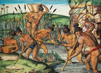 Zlatokopové na Floridě, kolorovaná rytina Theodora de Bry (1528-1598) z obrazu Jacquese le Moyne de Morgues (asi 1533-před 1588), z Brevis Narratio