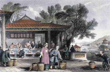 „Kultura a příprava čaje“, Čína, 1843