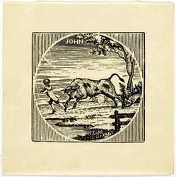 Knižní Ilustrace