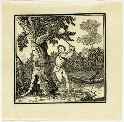 Knižní Ilustrace