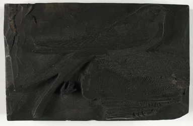 Woodblock pro The Swallow, z Historie britských ptáků