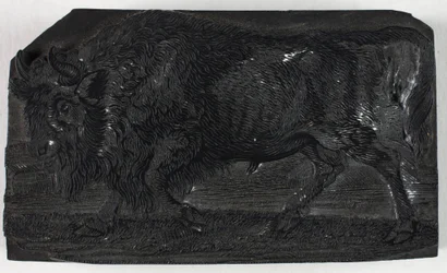 Woodblock pro Urus nebo Divokého býka, z Obecné historie čtyřnožců