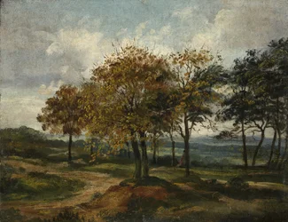 Zalesněná krajina