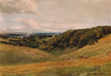Arundel Park, s jeleny, 1880