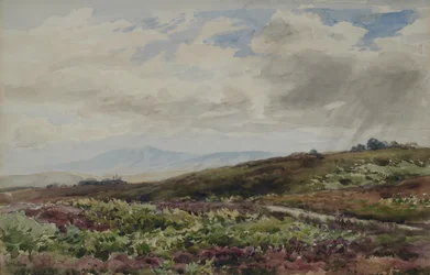 Při pohledu na Chanctonbury, West Sussex