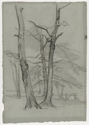 Krajinná studie se stromy, c. 1870-1875.