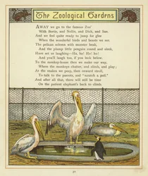 Zoologické zahrady