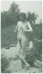 Studie J. Laurieho Wallace pro Arkádii, kolem roku 1883.
