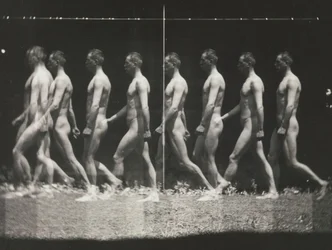 [Muž chodící, stroboskopická fotografie], 80. léta 19. století, tištěná 30.–40. léta 19. století, 80. léta 19. století, tištěná 30.–40.