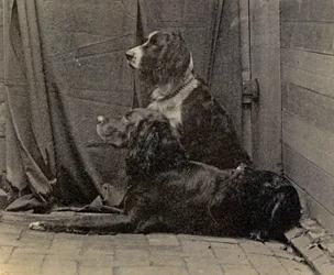 Thomas Eakins Psi, 1884