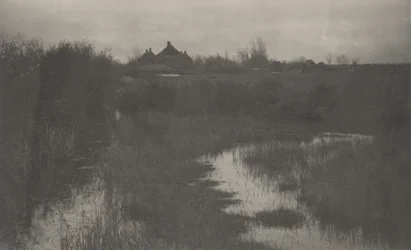 Okraj bažiny, 1886 (foto)
