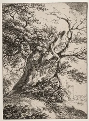 Vzorky polyautografie: Krajina s dubem, 1803.