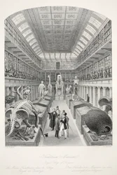Hunterian Museum, Royal College of Surgeons, z hospody 