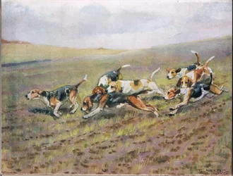 Crossing the Fields, ilustrace z 