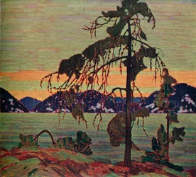 Jack Pine, 1917. 1925