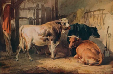 Býk a tři krávy ve stáji, c1856