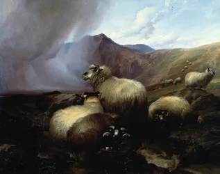 Highland ovce v hornaté krajině, 1854