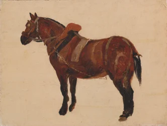 Studie pracovního koně