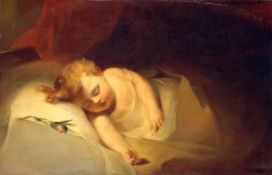 Dítě spí, Rosebud, 1841.