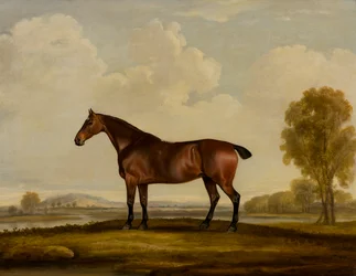 Georgiana: Kůň, kolem roku 1819 (olej na plátně)
