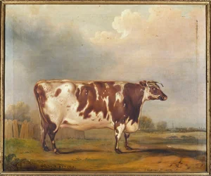 Wildair, osmiletá jalovice v říční krajině, 1827