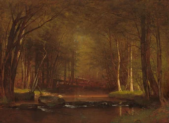 Pstruhový potok v Catskills