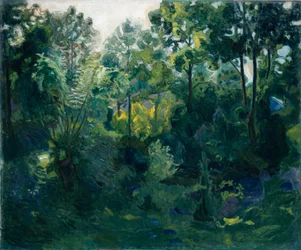 Interiér lesa